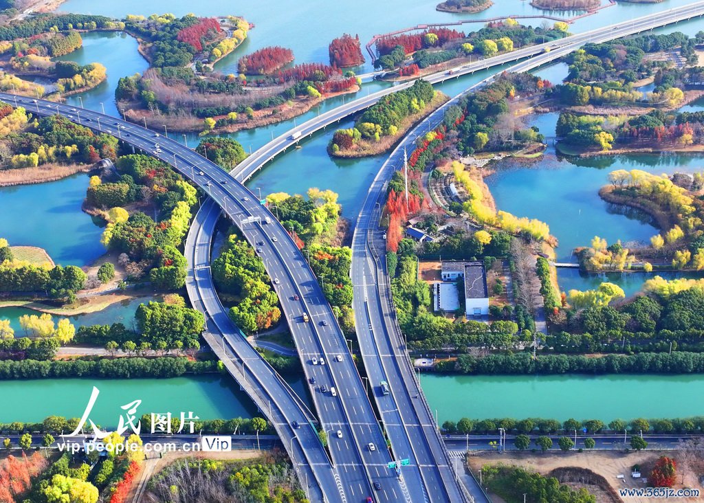 江苏苏州：虎丘湿地颜色斑斓好意思如画